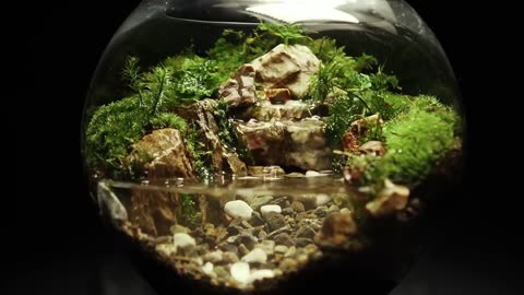 I made a moss terrarium with flowing water_Full-HD