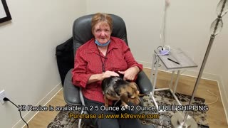 Dog Skin Allergies Gone in 5 Days, K9 Revive Dog Supplement