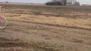 Cute Calf Follows Girl on Bike Ride