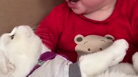 this child was very happy to have the kitten in his lap