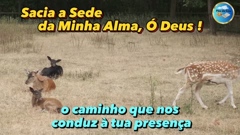 Sacia a Sede da Minha Alma, Ó Deus !