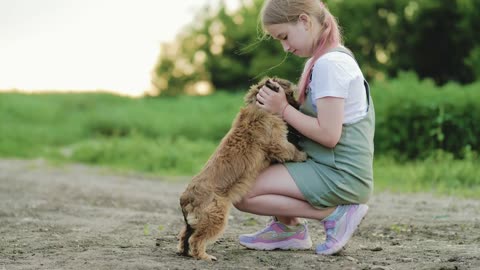 Happy girl play with little puppy. Small dog in arms girl child