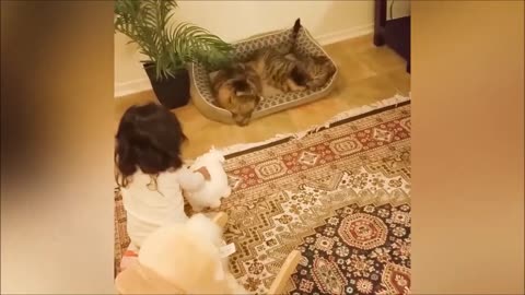 SELECTION OF FUNNY VIDEOS OF CHILDREN WITH CATS