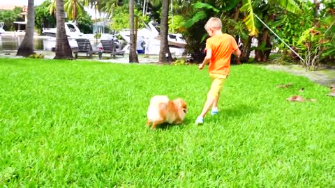 Vlad and Mom exchanged cat and dog pets