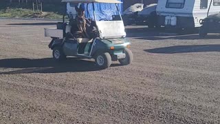 Kai ridding around in golf cart with her buddy Dallas.