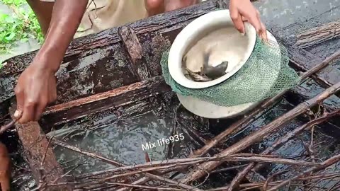 An ancient method of raising a sinking boat from the river is a wonderful method of fishing.