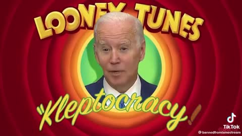 Looney Biden tunes