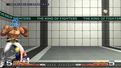 The King Of Fighter 2014