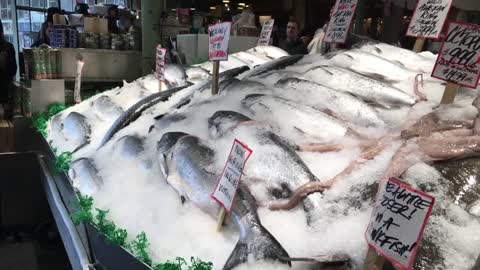 Captivating excursion to the seafood market