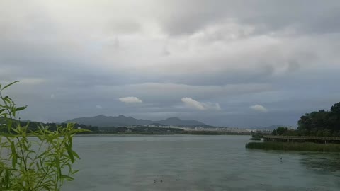 lake landscape on riding railbike