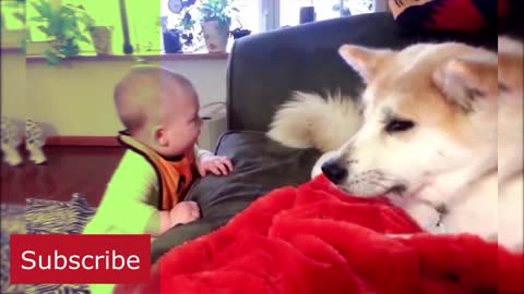 Cute babies and cute dogs.