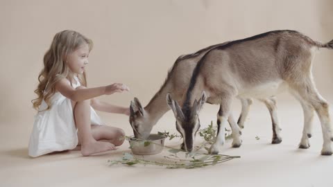 Fawn and cute little lady