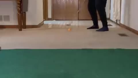 This Man's Trick shots Are so satisfying