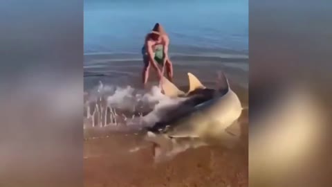 A man risks his life to pull a whale with razor-like mouth into the ocean