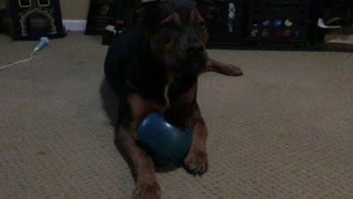 My BALL!!!! You can’t have it!