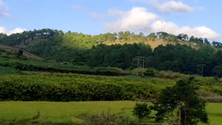 The green views, the blue sky & the white cloud