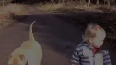 child walking big dog