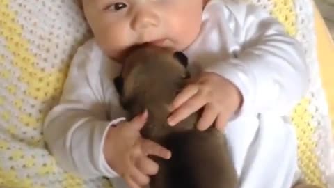 Adorable Babies Playing With Dogs Compilation 2021