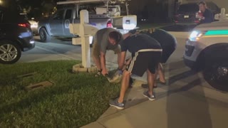 Florida woman finds alligator in her garage