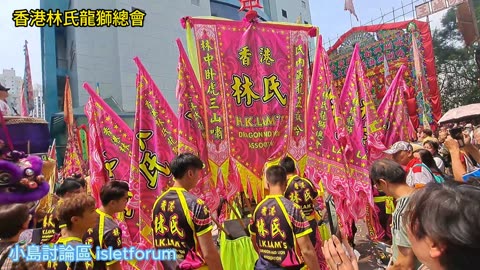 香港林氏龍獅總會 鴨脷洲洪聖傳統文化節 2024 HK Lam's Dragon & Lion Association