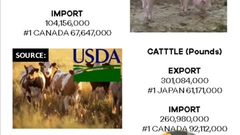 Beef importation