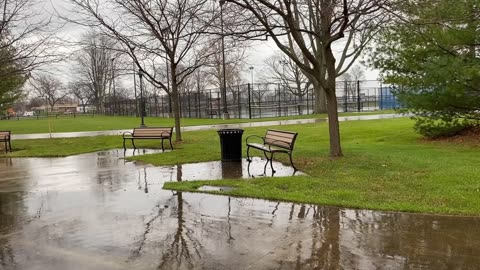 Soothing Rain and Gentle Breeze on Park Benches 🌧️🍃 | Relaxing Meditation for a Good Night's Sleep 💤