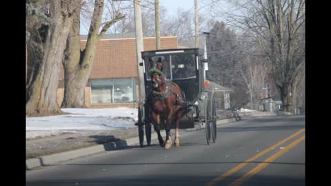 Winter Landscape Shipshewana Indiana 2022 Explore AMISH FARM COUNTRY