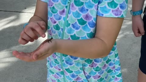 Lizard Jumps Up Girl's Arm and Scares Her