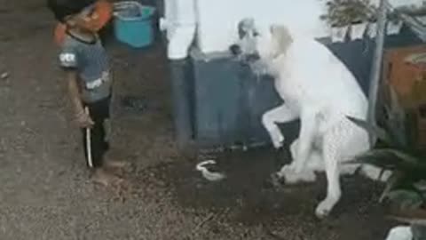 Kindness is free. Dog gets water.