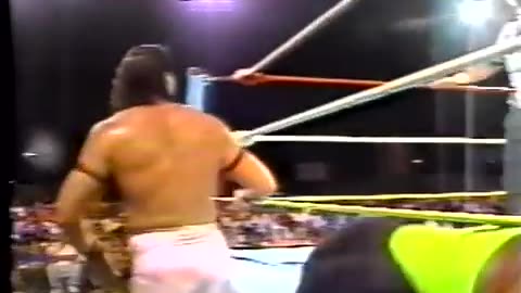 (1991.XX.XX) TNT & Giant Warrior vs Demolition - WWC