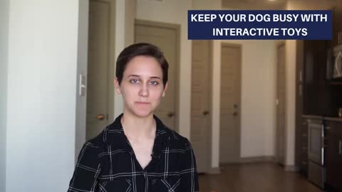 Having a Dog in an Apartment - Tips