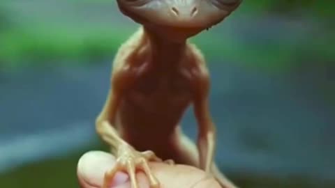 Could the smaller Nazca Alien Mummies have looked something like these tiny beings ??