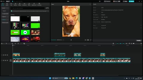 CapCut Video Editing Keyframe Mastery