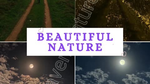 Part 1 Beautiful Nature- Haven Nature's