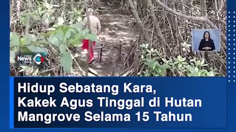 Hidup Sebatang Kara,Kakek Agus Tinggal di HutanMangrove Selama 15 Tahun