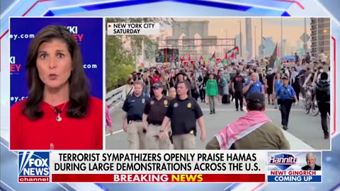 USA president candidate: Publish every name of the pro-Hamas protesters in our cities