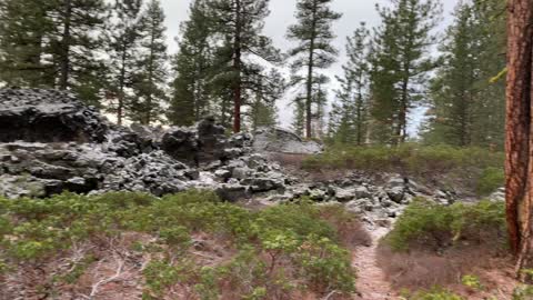 Ponderosa Panorama – Central Oregon – Edison Sno-Park