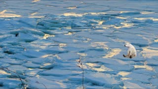 Nantasket beach during the winter