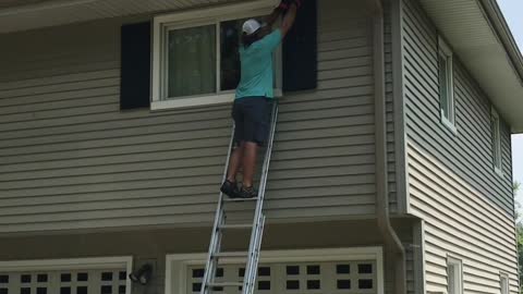 Bats Removed From Window Shutter Shelter