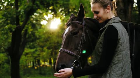 Lens flare in the forest young beautiful woman petting brown horse on a sunny day