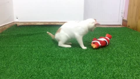 My Cats Vs Fish toy