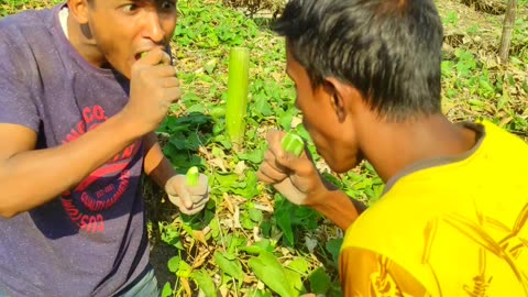 Bangladeshi Junglee Hungry Man