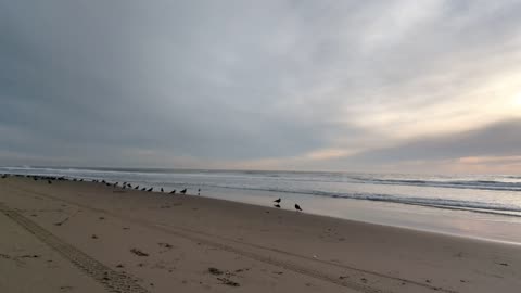 Timeless Beach Scape