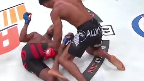 Douglas Lima brutal MMA knockout!