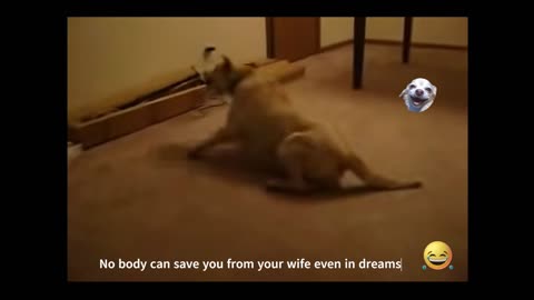 No Body can save you from your wife even in your dreams