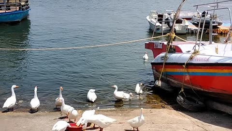 A MUST VISIT!!! Upper Lake Bhopal, India