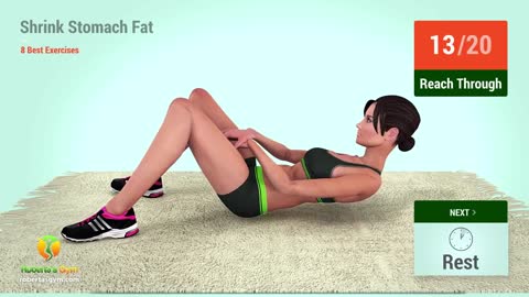 8 Best Exercises To Shrink Stomach Fat Fast 2.0 / I'll leave a promotion link in the description