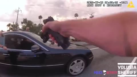 Florida Sheriff Helps Take Down Suspect Fleeing Traffic Stop