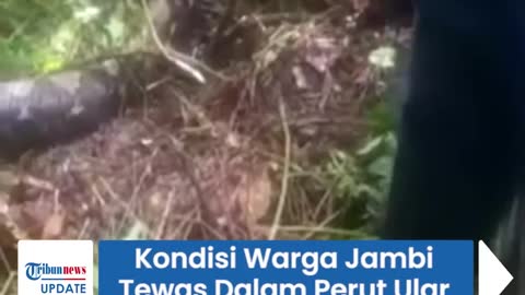 Petani di telan ular piton