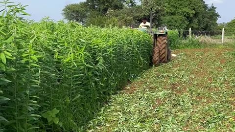 John Deere tractor working